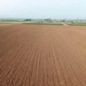 Krajobraz rolniczy z widokiem na pola